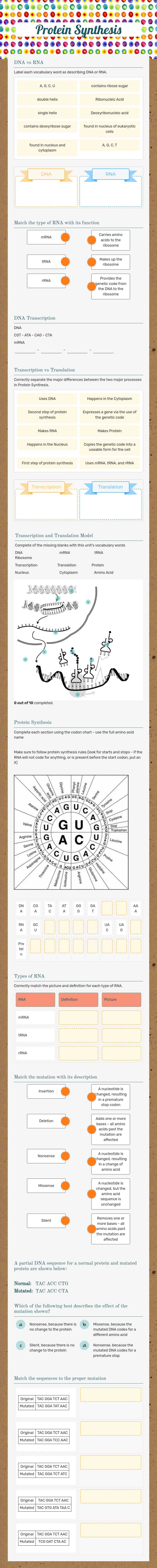 Protein Synthesis worksheet preview image