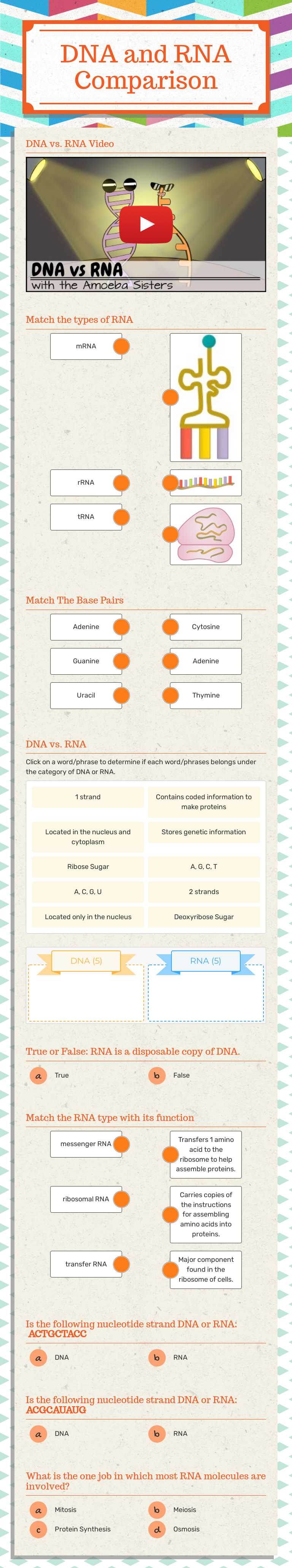 DNA and RNA Comparison Grade 10 worksheet preview