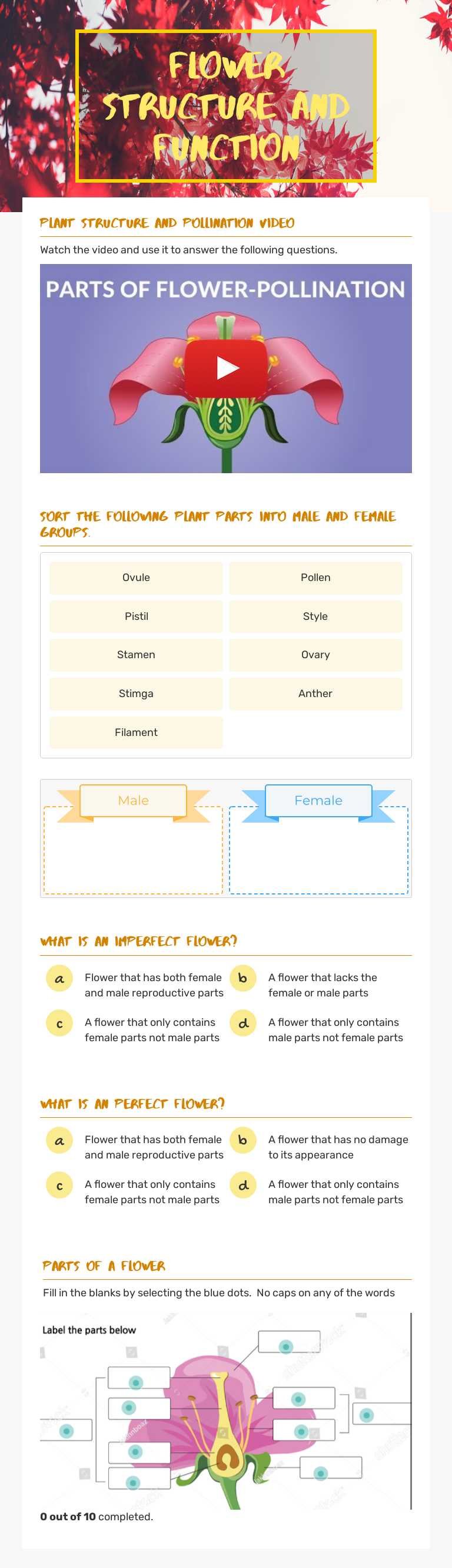 Flower Structure and Function worksheet preview image