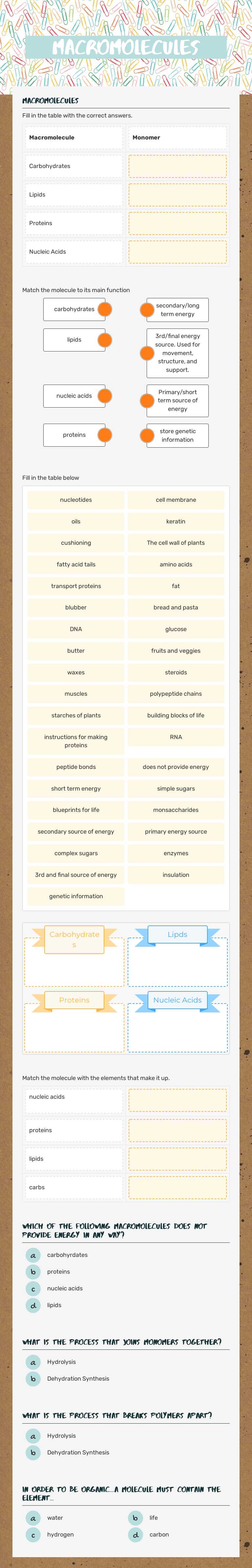 Macromolecules worksheet preview image