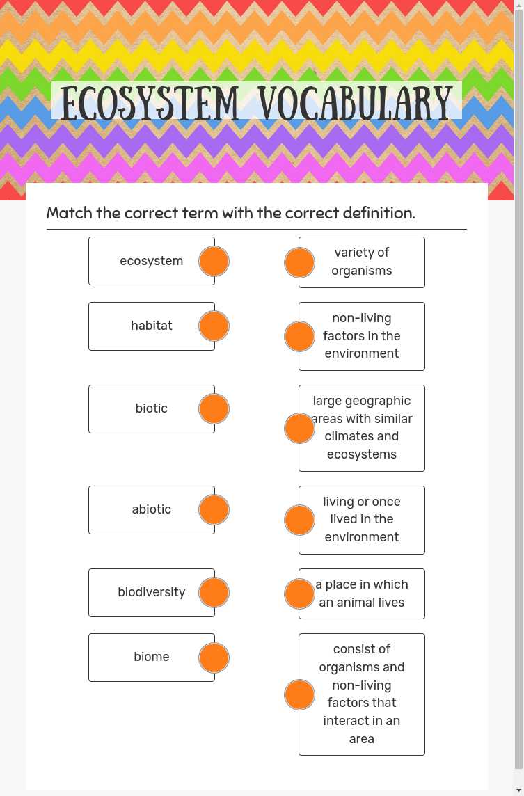 Ecosystem Vocabulary worksheet preview image