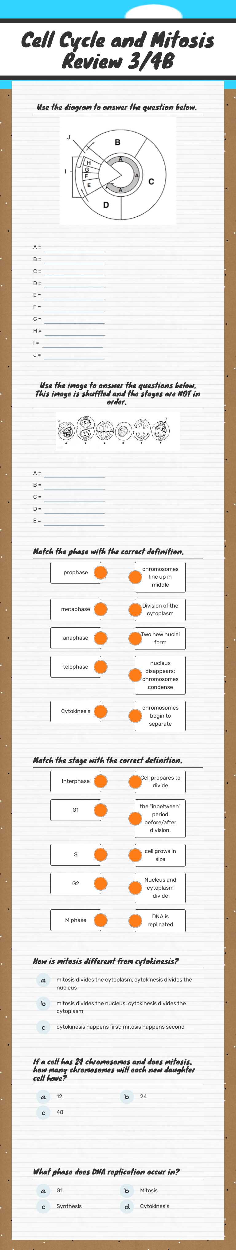 Cell Cycle and Mitosis Review 3/4B worksheet preview image