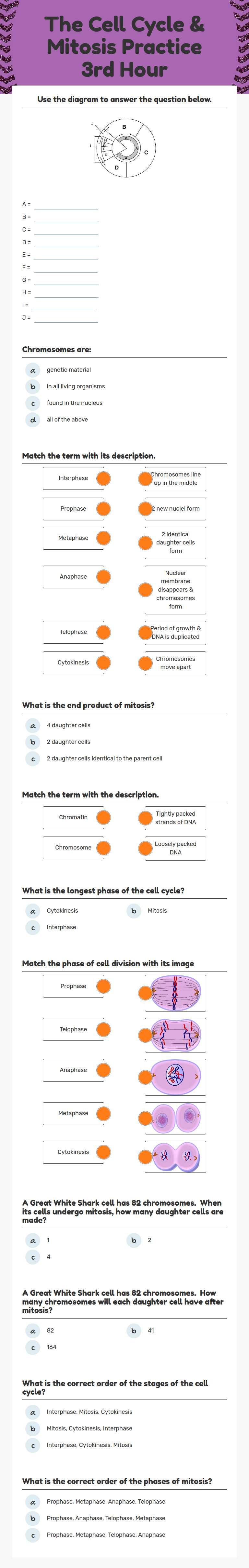 The Cell Cycle & Mitosis Practice 3rd Hour worksheet preview image