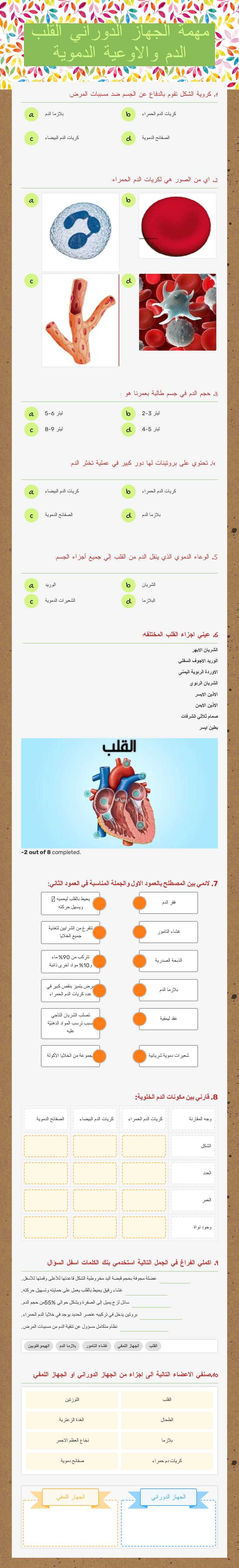 مهمة الجهاز الدوراني القلب الدم والاوعية الدموية Grade 9 worksheet preview