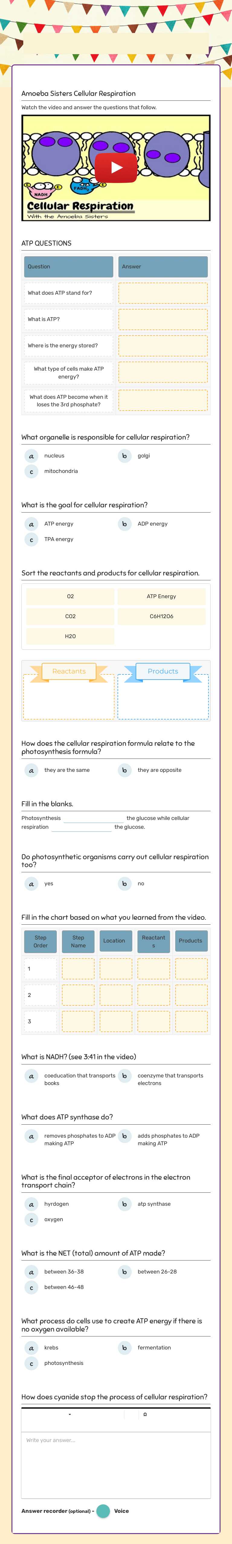 Amoeba Sisters Cell Respiration worksheet preview image