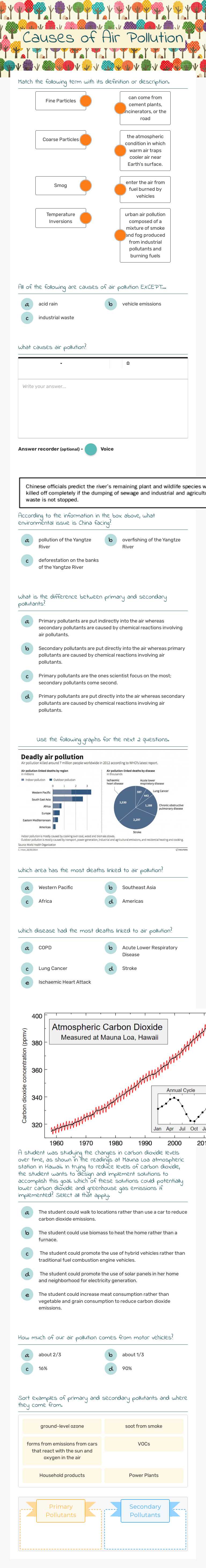Causes of Air Pollution worksheet preview image