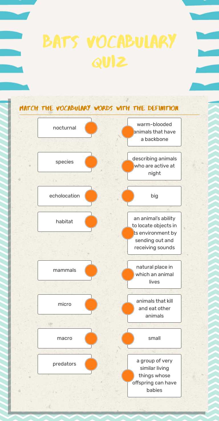 Bats Vocabulary Quiz worksheet preview image