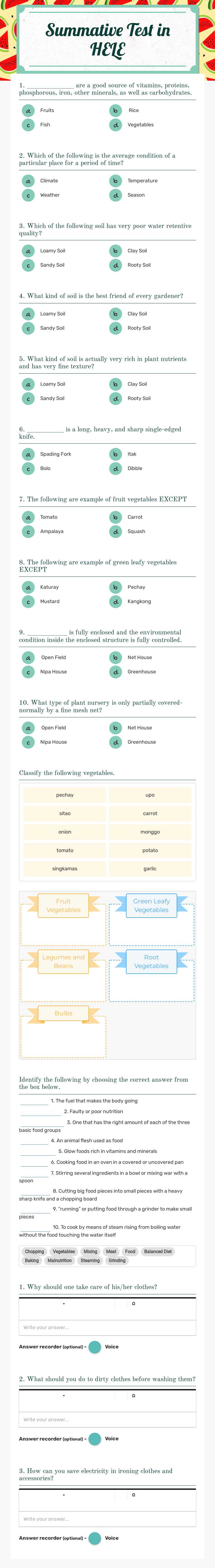 Summative Test in HELE worksheet preview