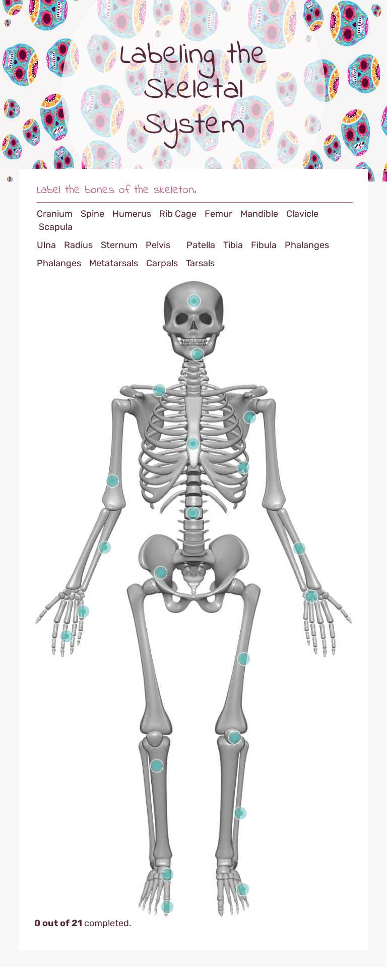 Labeling the Skeletal System Grade 3 worksheet preview