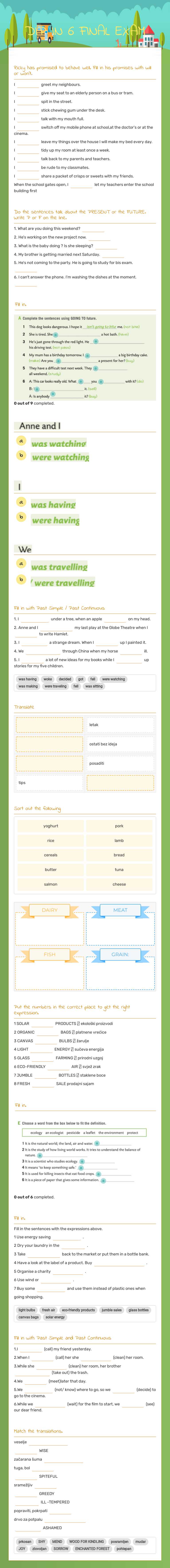 DIP IN 6 FINAL EXAM worksheet preview image