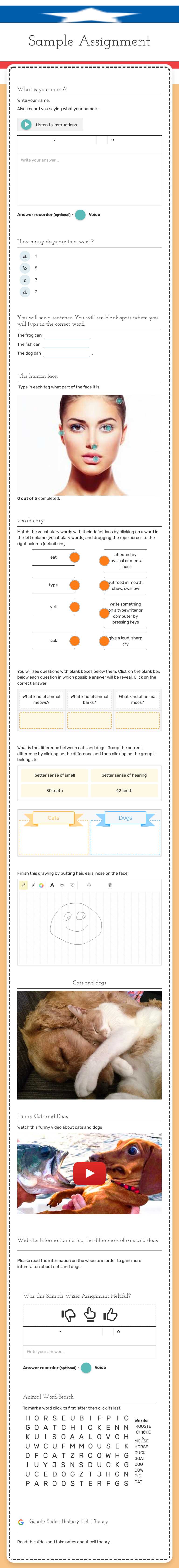 Sample Assignment worksheet preview image