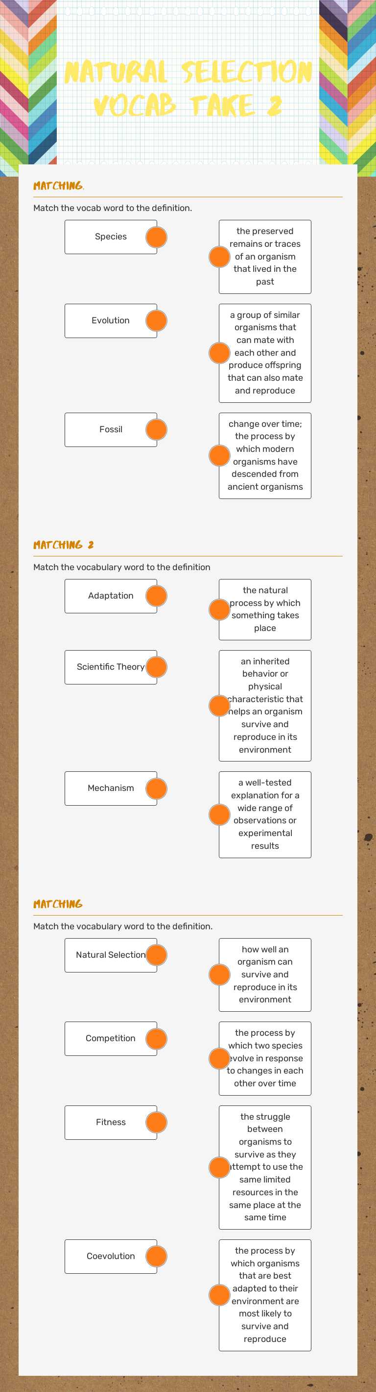 Natural Selection Vocab Take 2 worksheet preview image