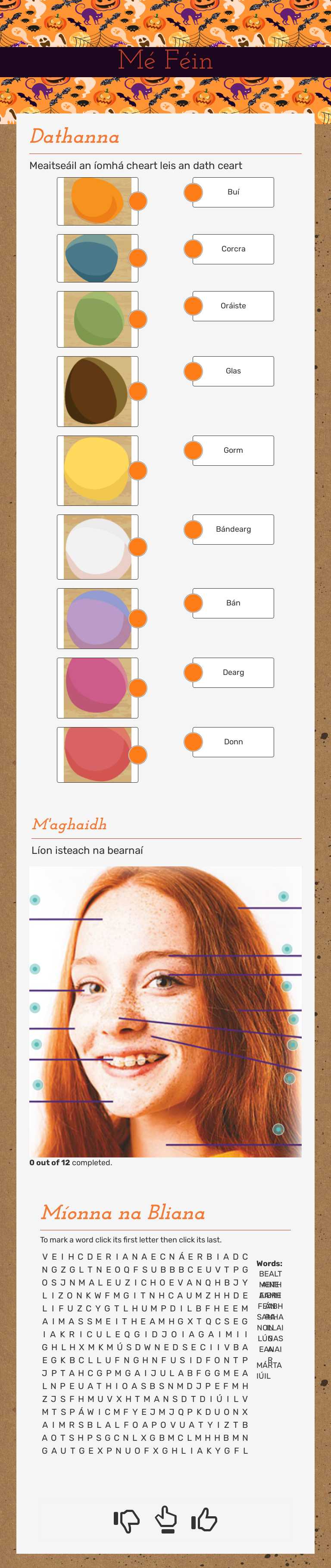 Mé Féin worksheet preview image