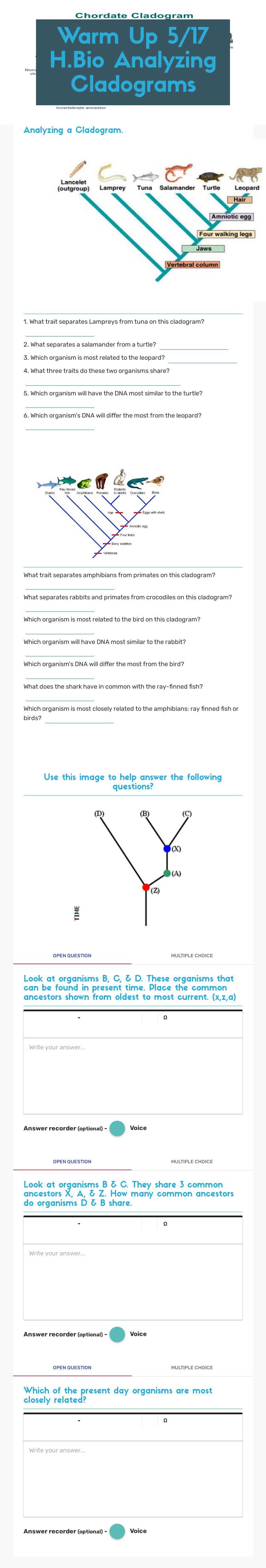 Warm Up 5/17 H.Bio Analyzing Cladograms worksheet preview image