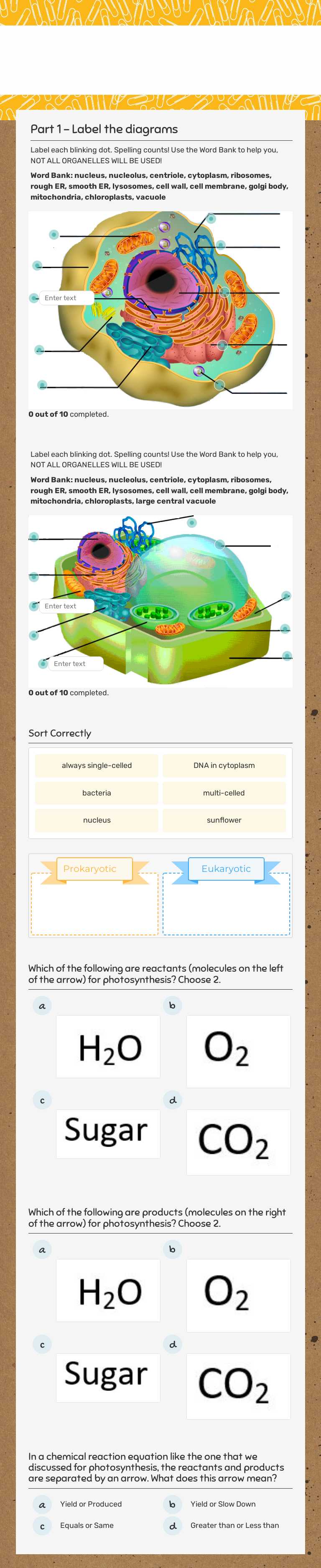 Cell organelles 
Review worksheet preview image