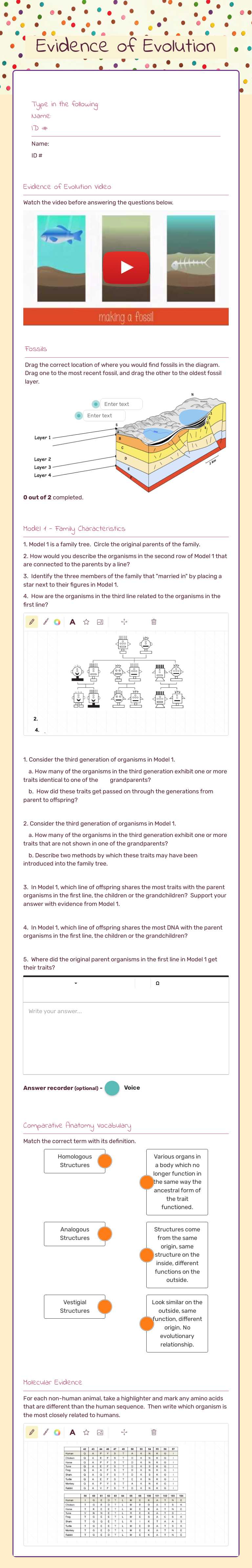 Evidence of Evolution Grade 10 worksheet preview