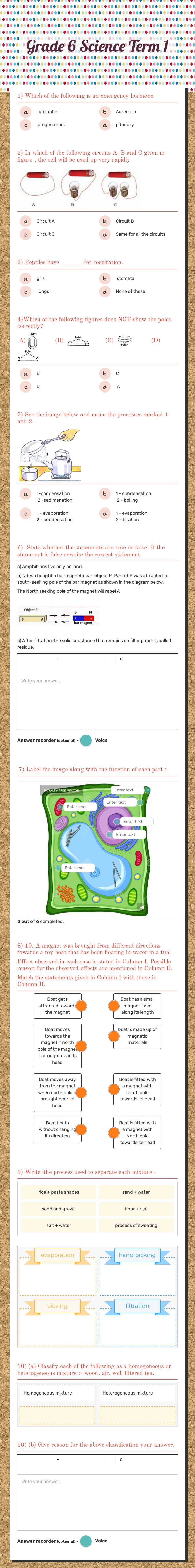 Grade 6 Science Term 1 worksheet preview image