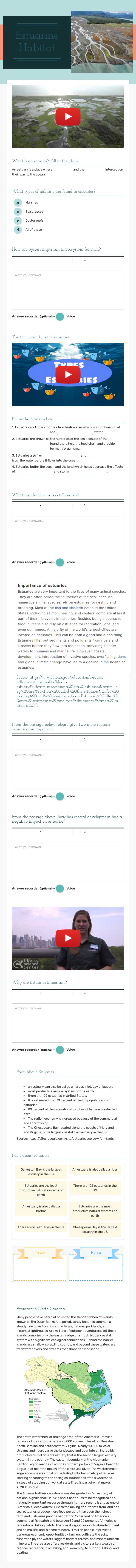 Estuarine Habitat Grade 8 worksheet preview