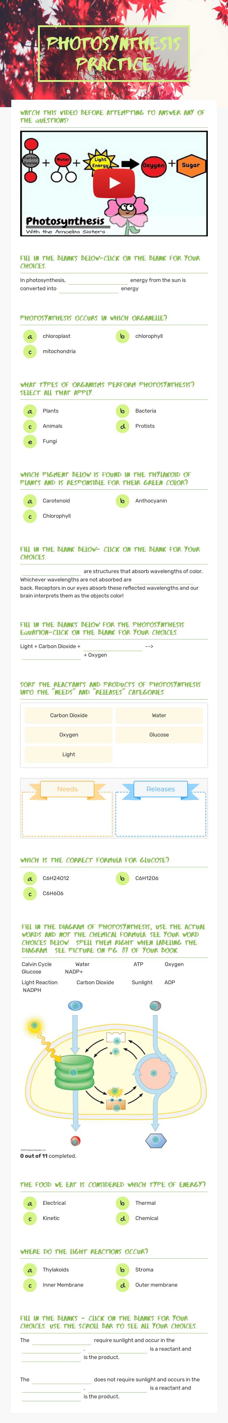 Photosynthesis Practice worksheet preview image