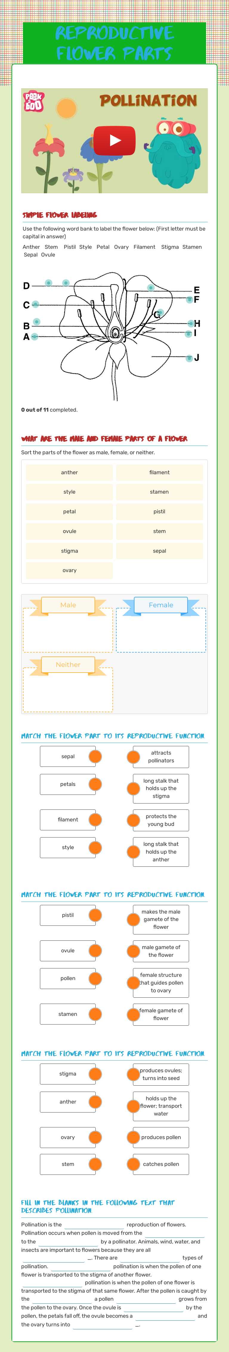 Reproductive Flower Parts worksheet preview image