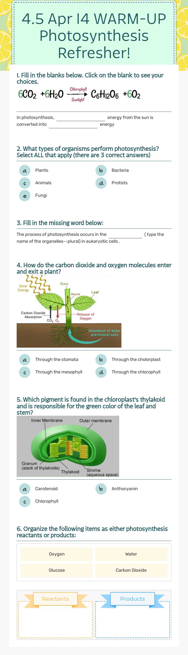 4.5 Apr 14 WARM-UP Photosynthesis Refresher! worksheet preview image