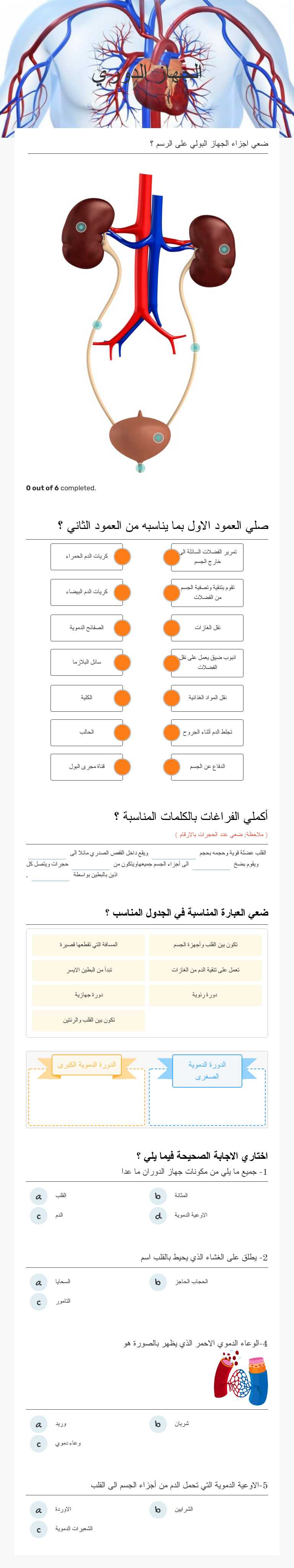 الجهاز الدوري worksheet preview image
