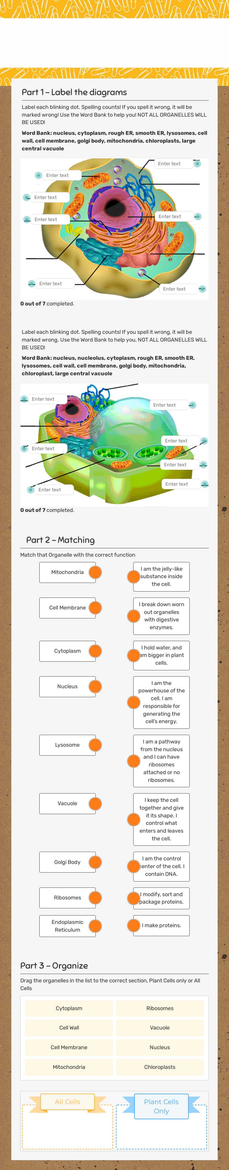 Cell organelles worksheet preview image