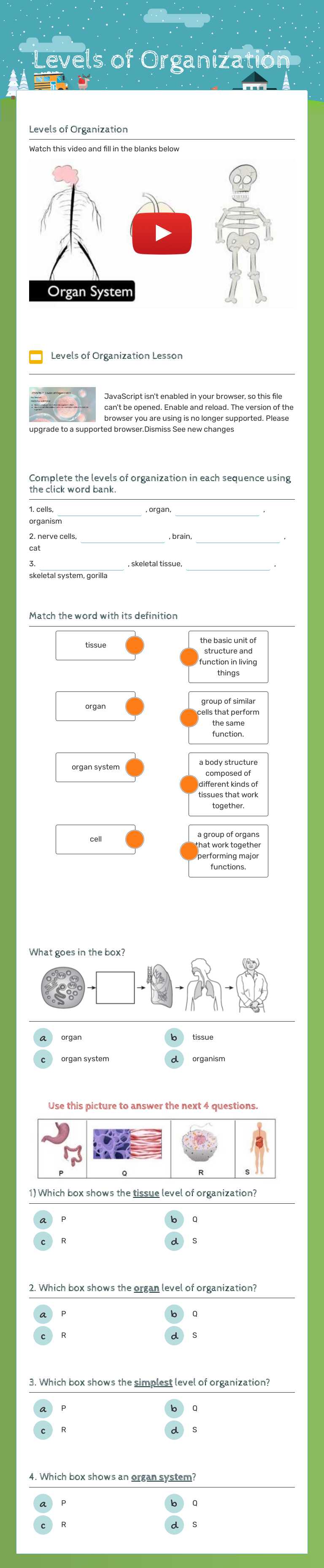 Levels of Organization worksheet preview image