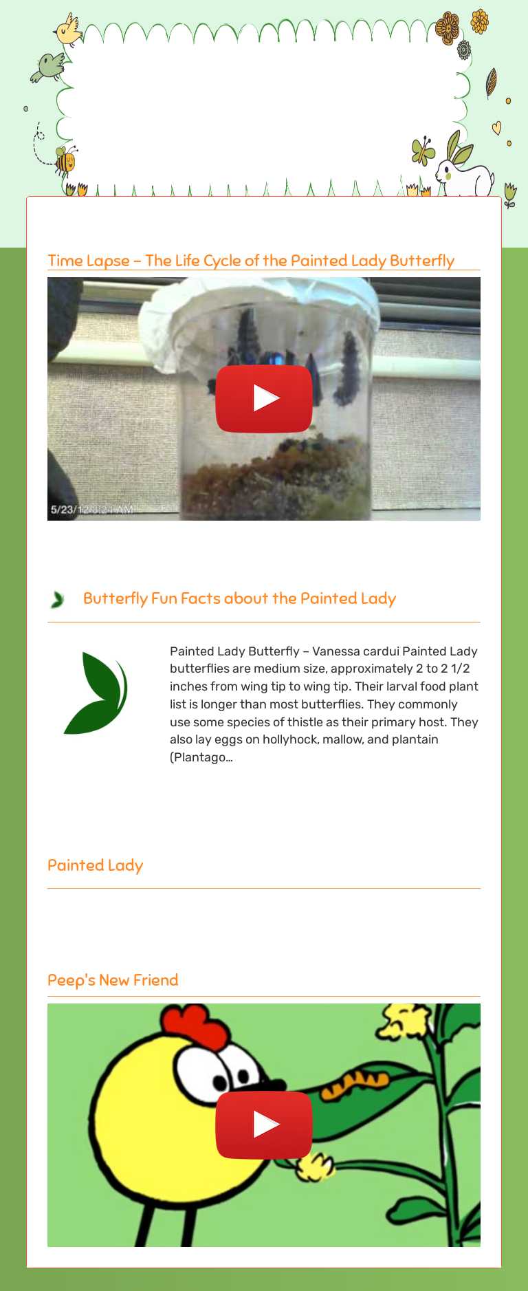 Painted Lady Butterfly Information worksheet preview image