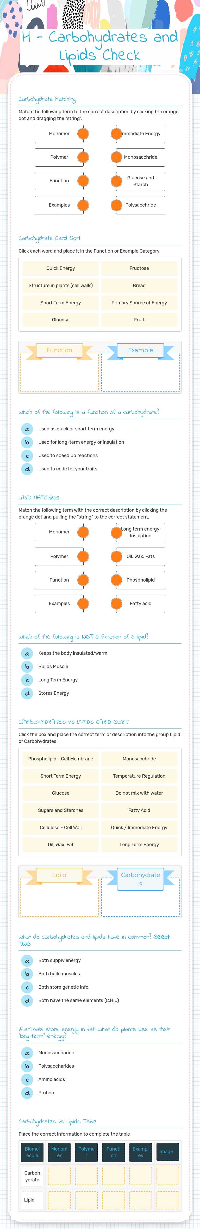 H - Carbohydrates and Lipids Check worksheet preview image