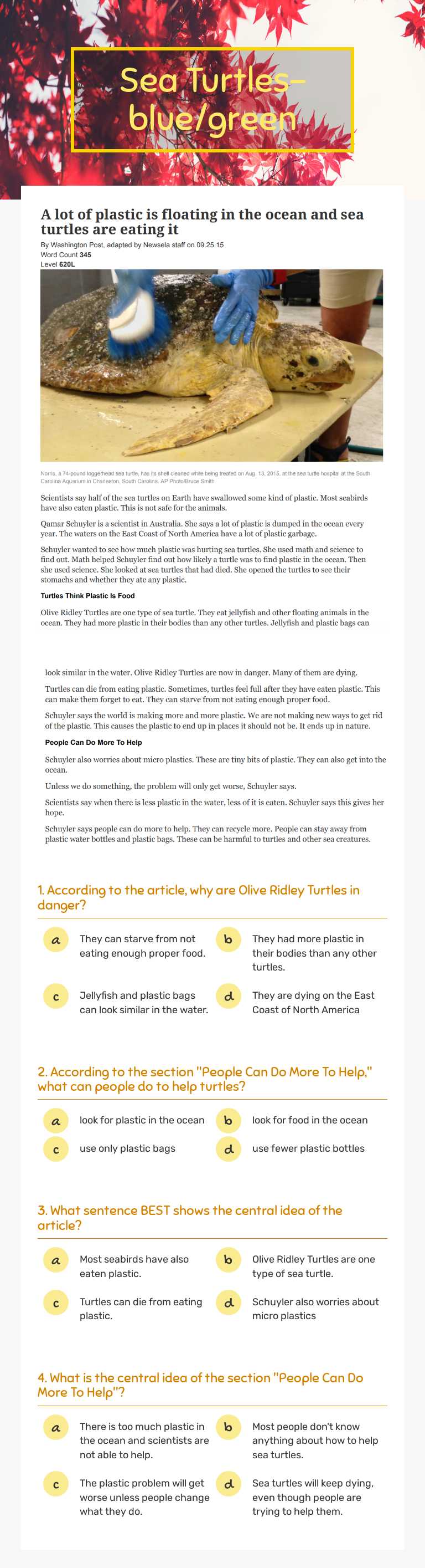 Sea Turtles-blue/green worksheet preview image