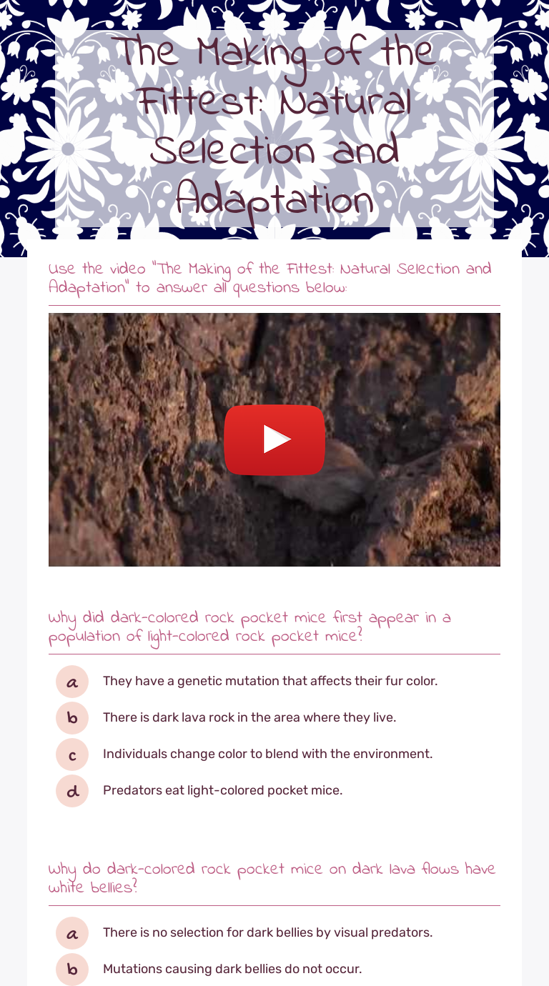 The Making Of The Fittest Natural Selection And Adaptation Interactive Worksheet By Kristen Boudreau Wizer Me