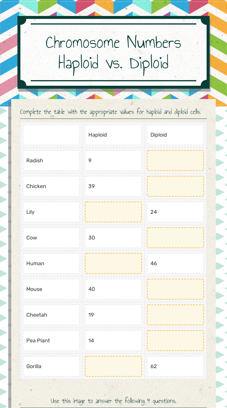 Chromosome Numbers Haploid vs Diploid Interactive Worksheet by Isaak