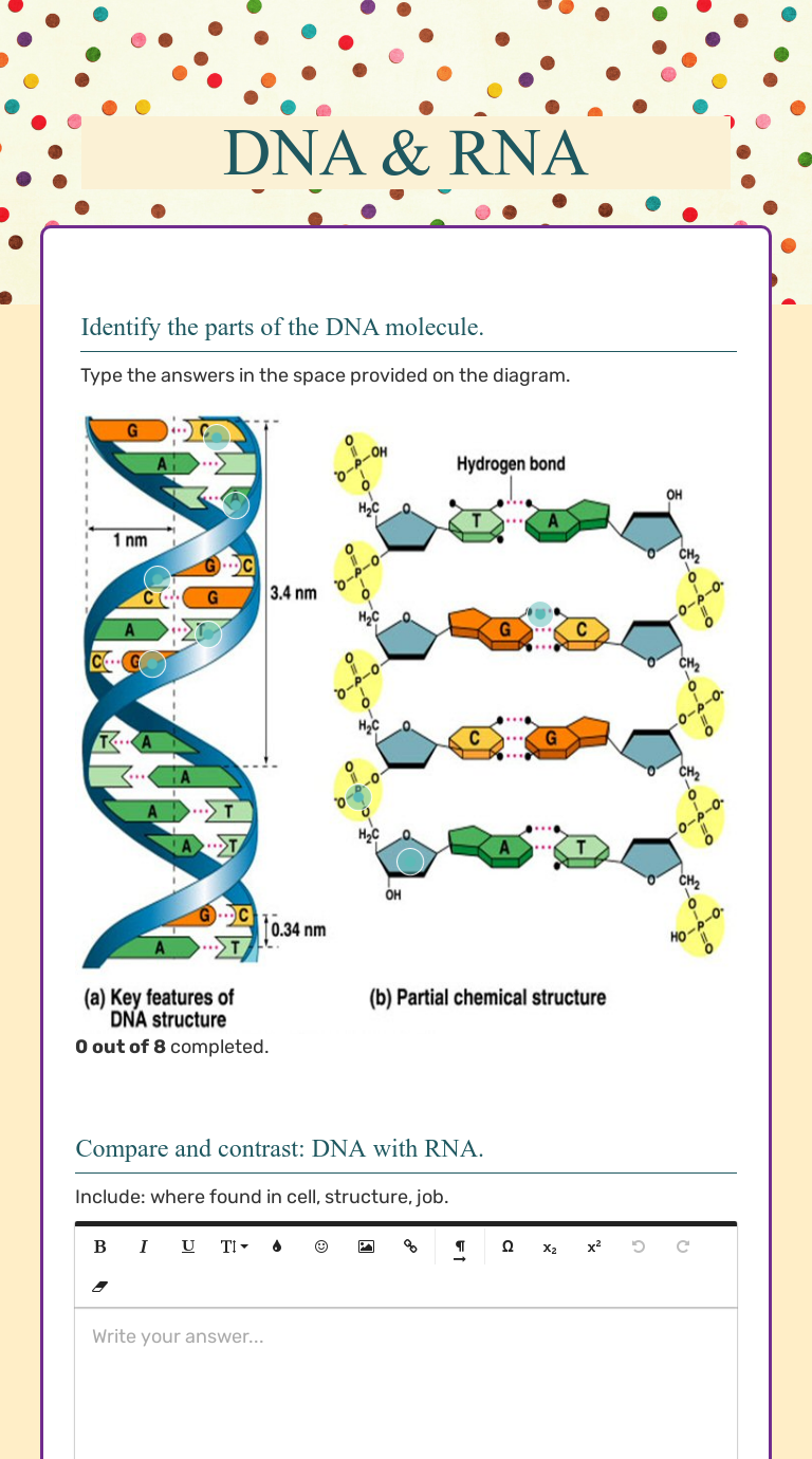 DNA & RNA | Interactive Worksheet by Tracey Muise | Wizer.me