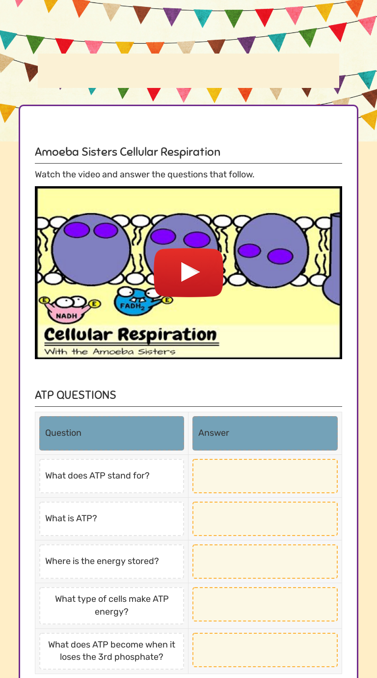 Cellular Respiration Amoeba Sisters Video Questions Answer Key