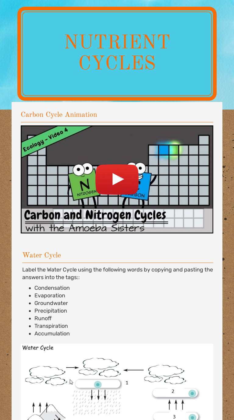 nutrient-cycles-worksheet-answers