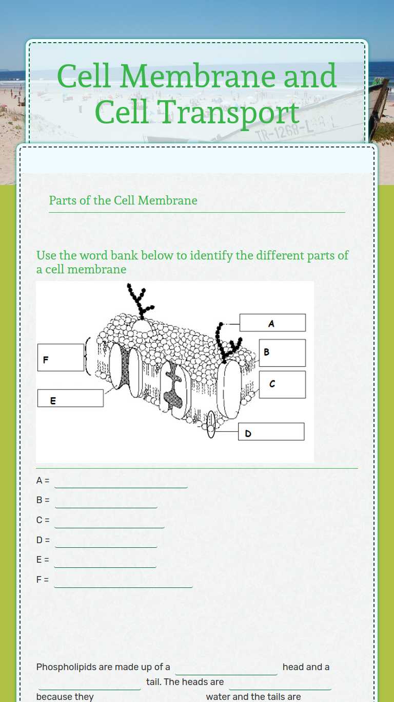 Cell Membrane and Cell Transport  Interactive Worksheet by Brian Throughout Cell Membrane Worksheet Answers