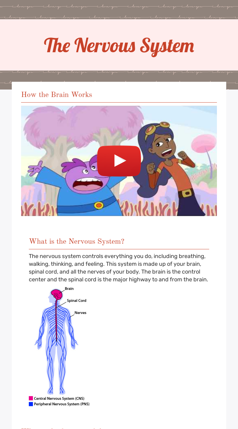 the-nervous-system-interactive-worksheet-by-hope-woodward-wizer-me