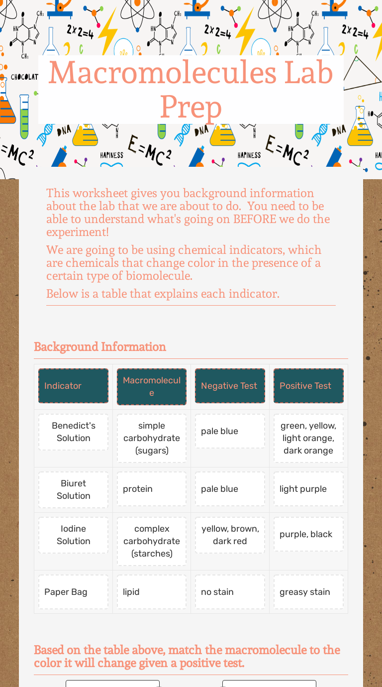 macromolecules-lab-prep-interactive-worksheet-by-elizabeth-tyree-wizer-me