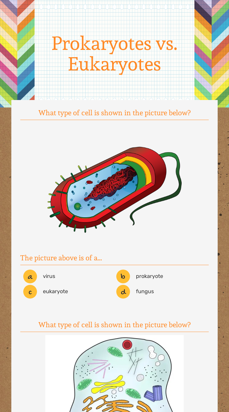 Prokaryotes vs. Eukaryotes worksheet preview image