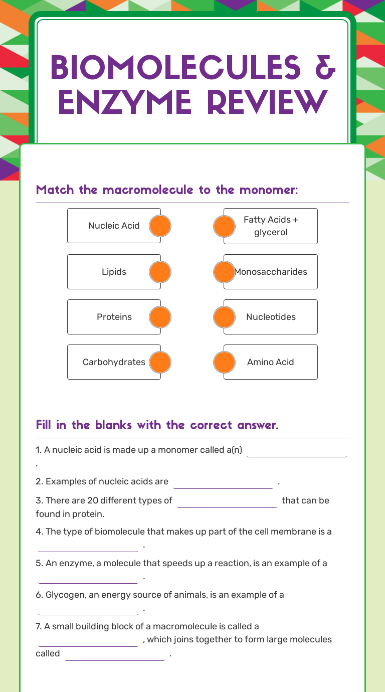 Biomolecules & Enzyme Review Interactive Worksheet by Michael Midura