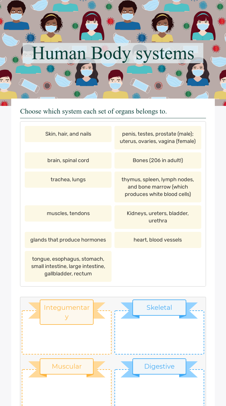 body-systems-worksheet