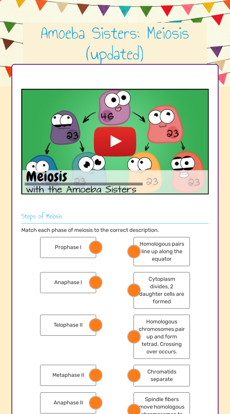 Amoeba Sisters Video Recap Of Meiosis Worksheet Answers