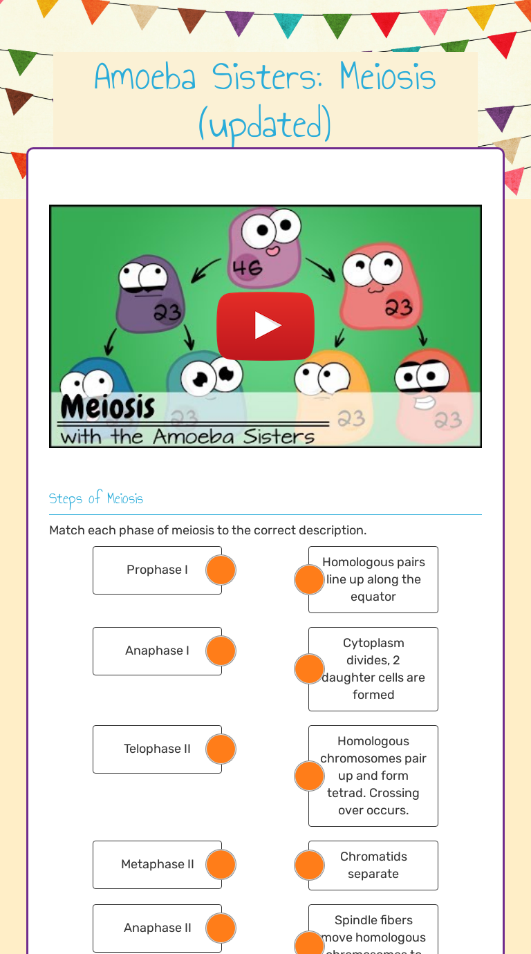 amoeba-sisters-meiosis-worksheet-answer-key-some-of-the-worksheets-for-this-concept-are