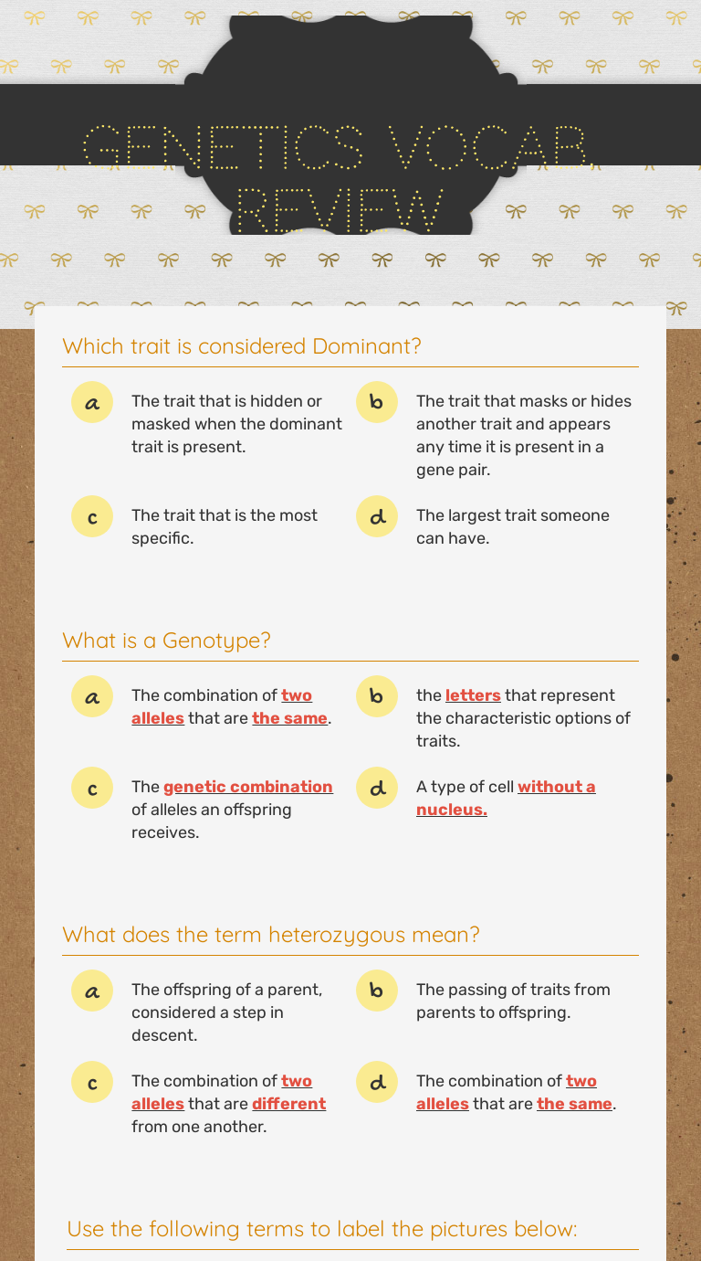 Interactive Worksheets | Wizer.me