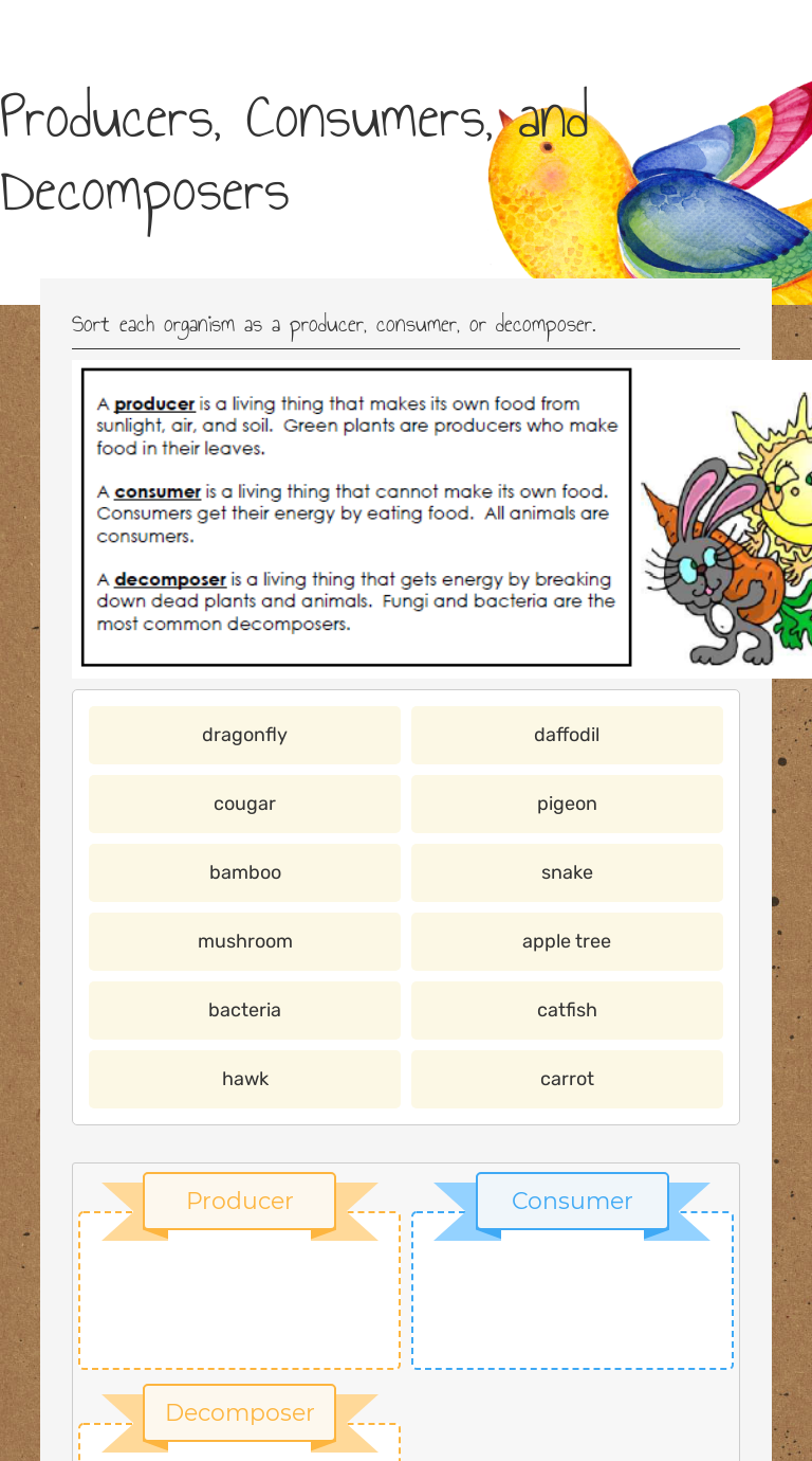 Producer Consumer Decomposer Worksheet - E-streetlight.com