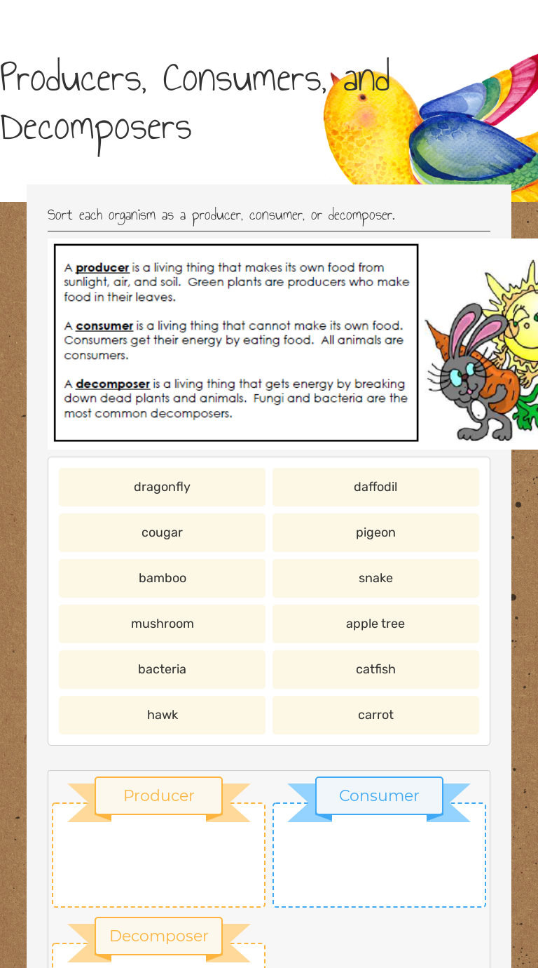 Producers, Consumers, and Decomposers  Interactive Worksheet by With Producers And Consumers Worksheet