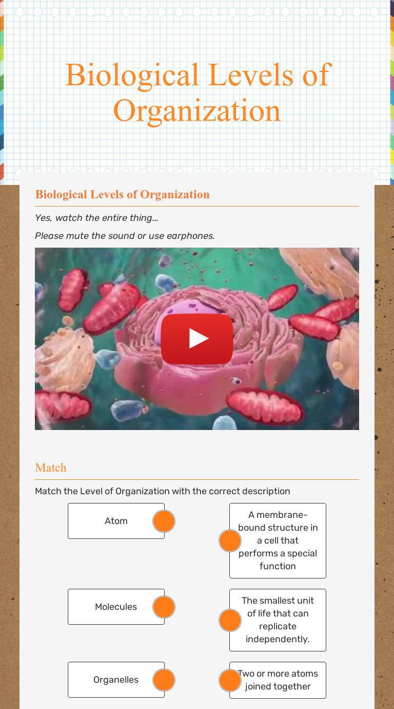 Biological Levels of Organization Interactive Worksheet by Jennifer