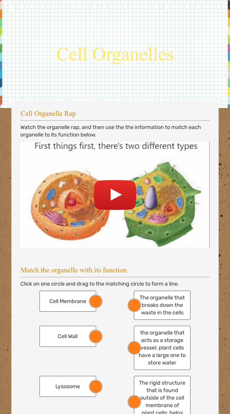 Cell Organelles | Interactive Worksheet By Ann Hicks | Wizer.me