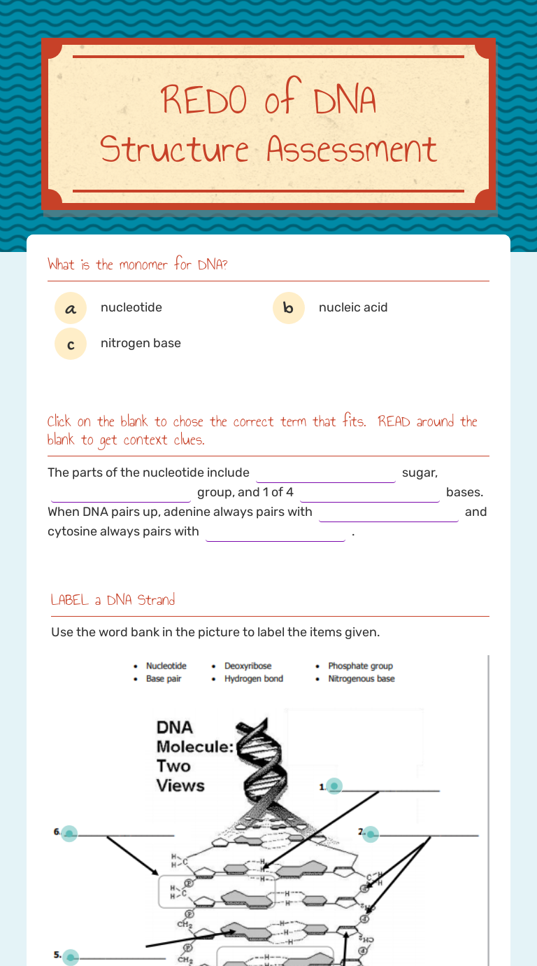 REDO of DNA Structure Assessment  Interactive Worksheet by Maggie Inside Dna Structure Worksheet Answer